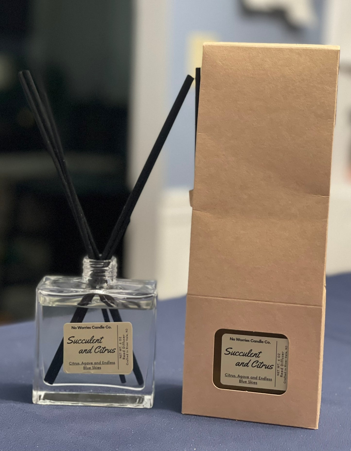 Reed Diffuser - Succulent and Citrus - No Worries Candle Co.