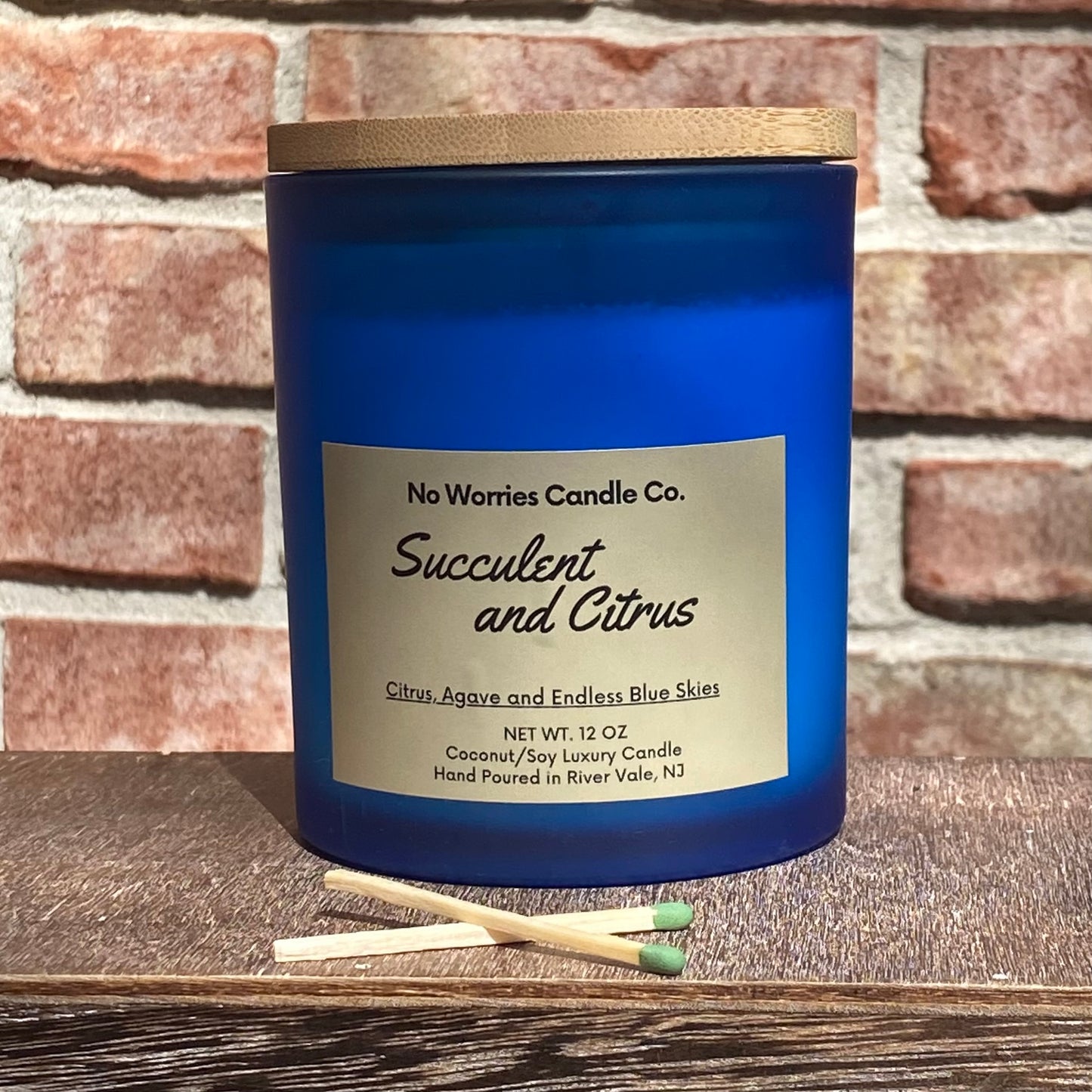 Coconut/Soy Luxury Candle - Succulent and Citrus - No Worries Candle Co.