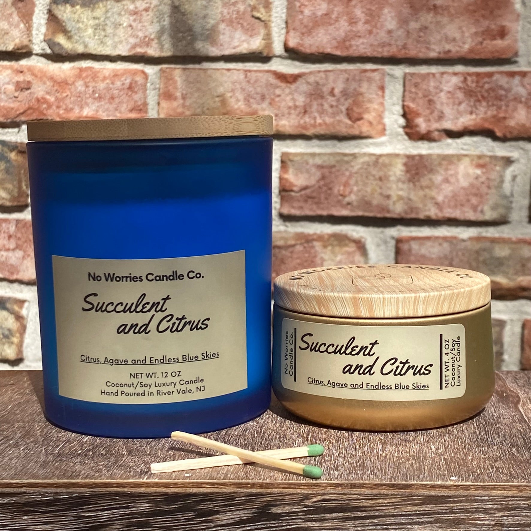 Coconut/Soy Luxury Candle - Succulent and Citrus - No Worries Candle Co.